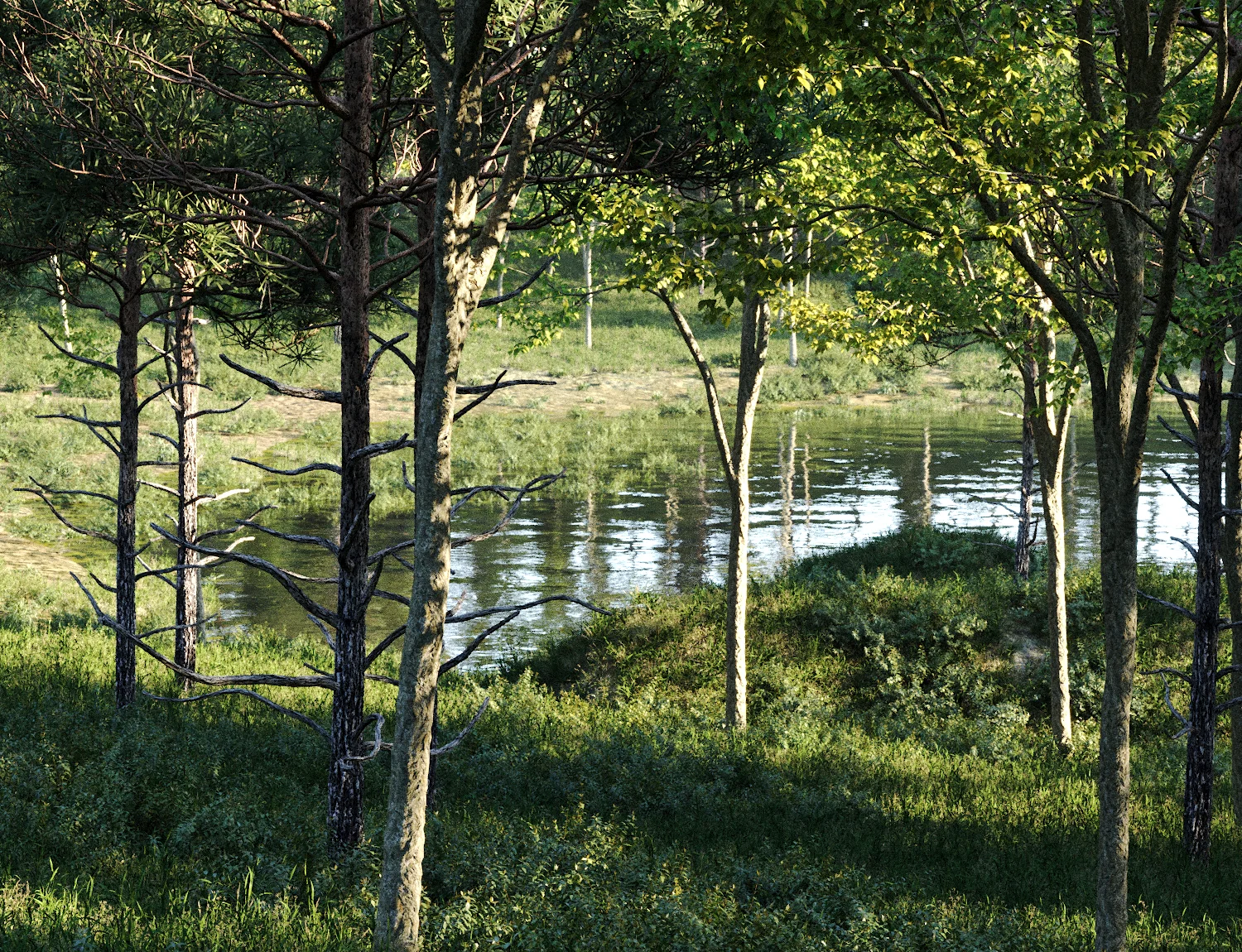 Beaver Lake Pack - Image 10