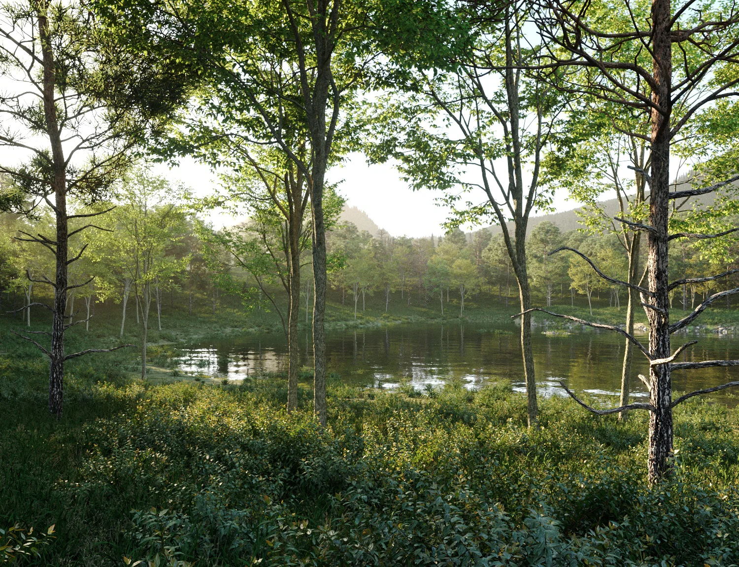 Beaver Lake Pack - Image 12