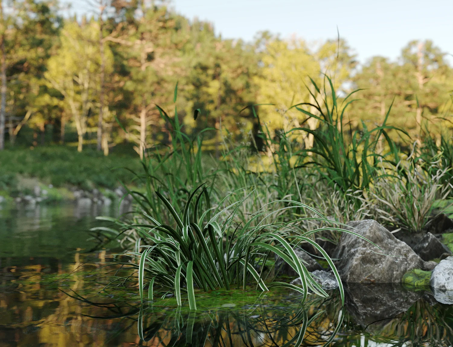 Beaver Lake Pack - Image 13