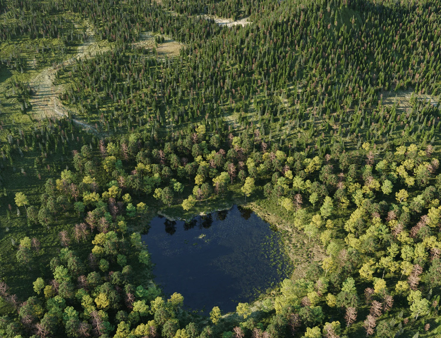 Beaver Lake Pack - Image 14