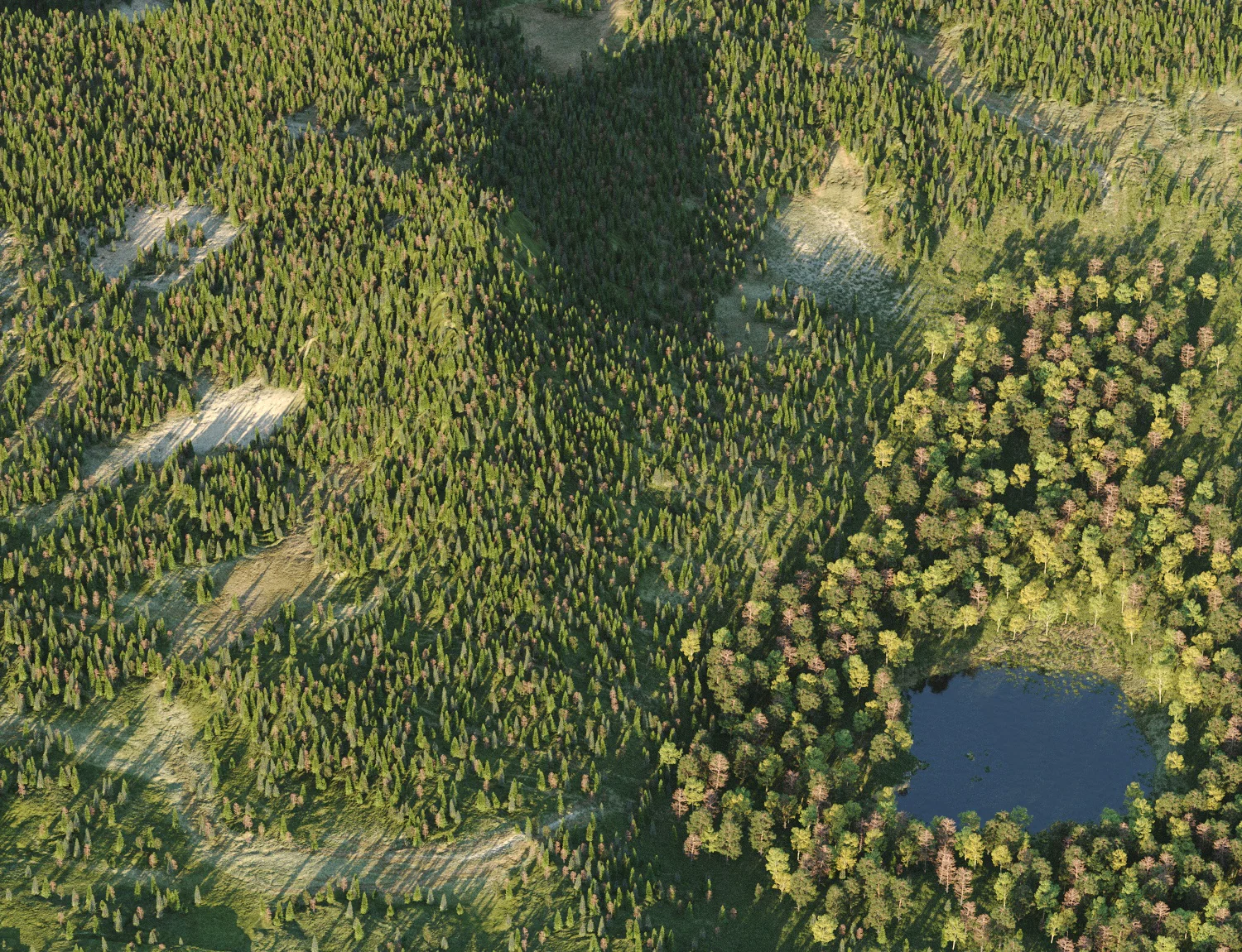 Beaver Lake Pack - Image 15