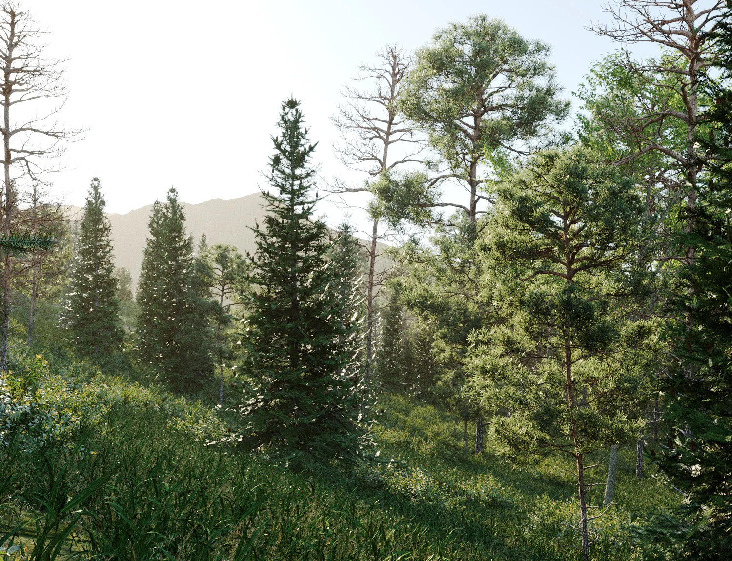 Beaver Lake Pack - Image 16