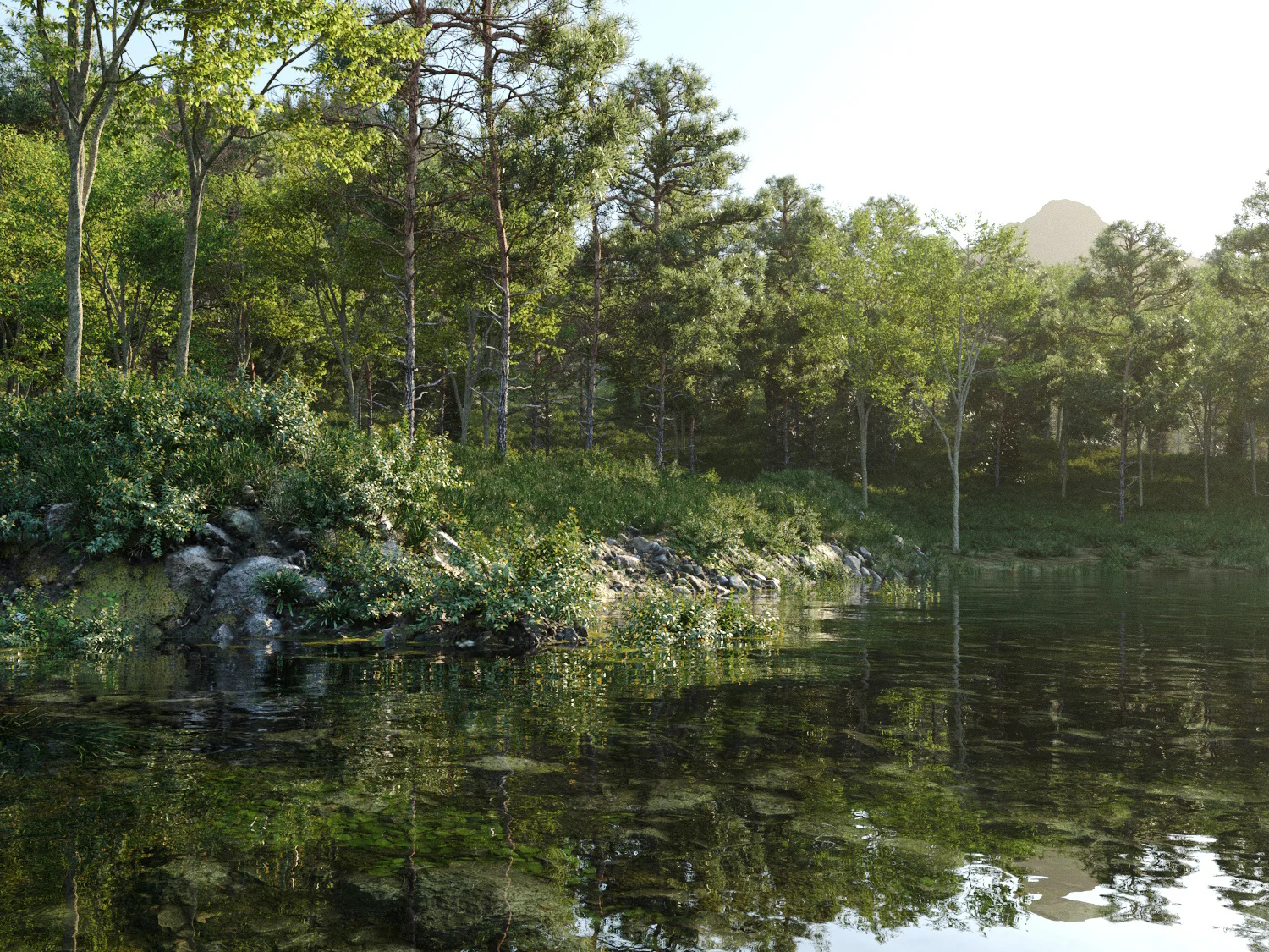 Beaver Lake Pack - Image 4