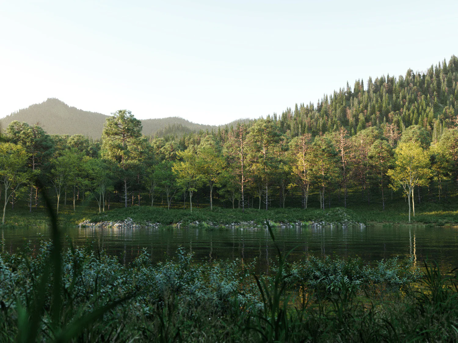 Beaver Lake Pack - Image 5