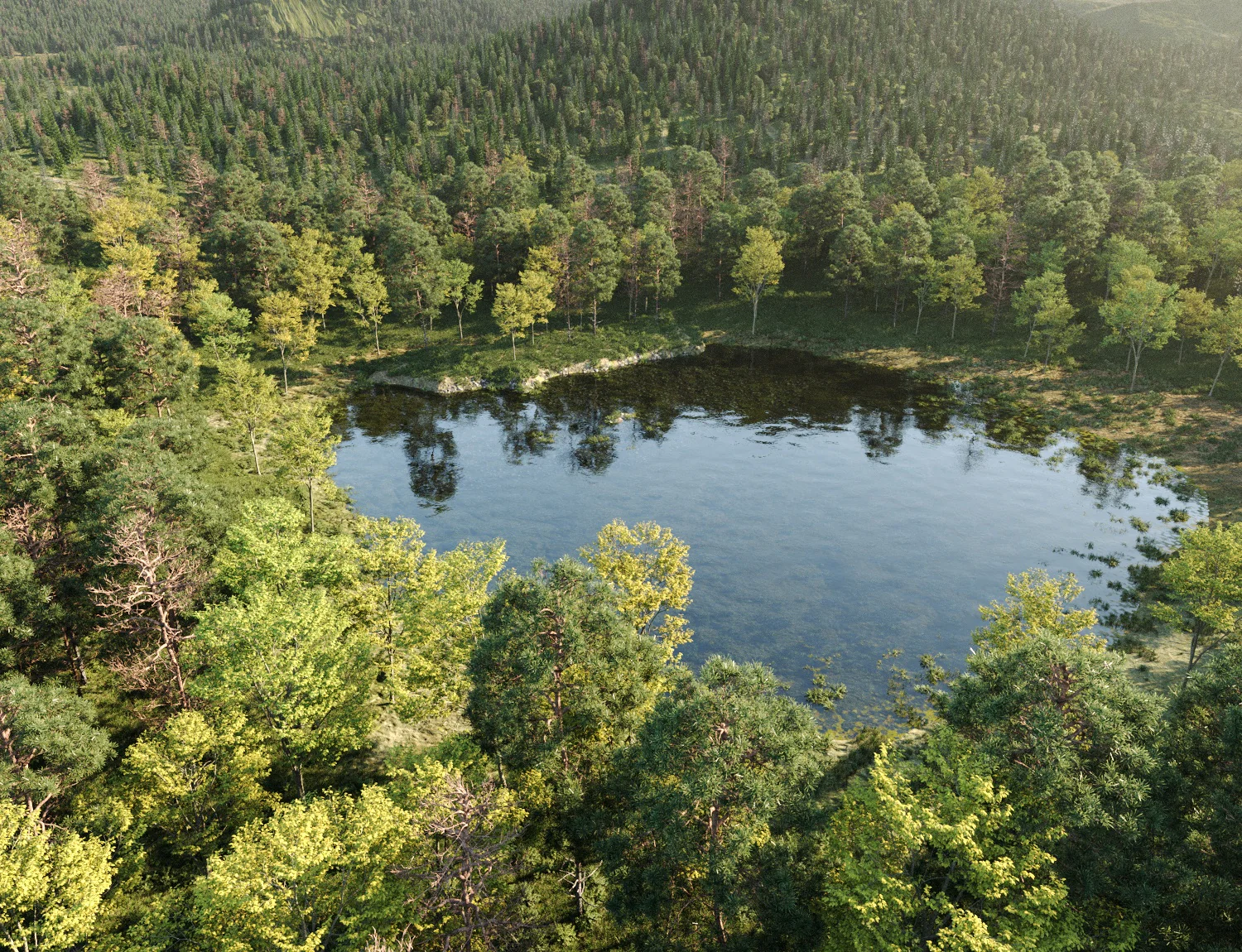 Beaver Lake Pack - Image 6