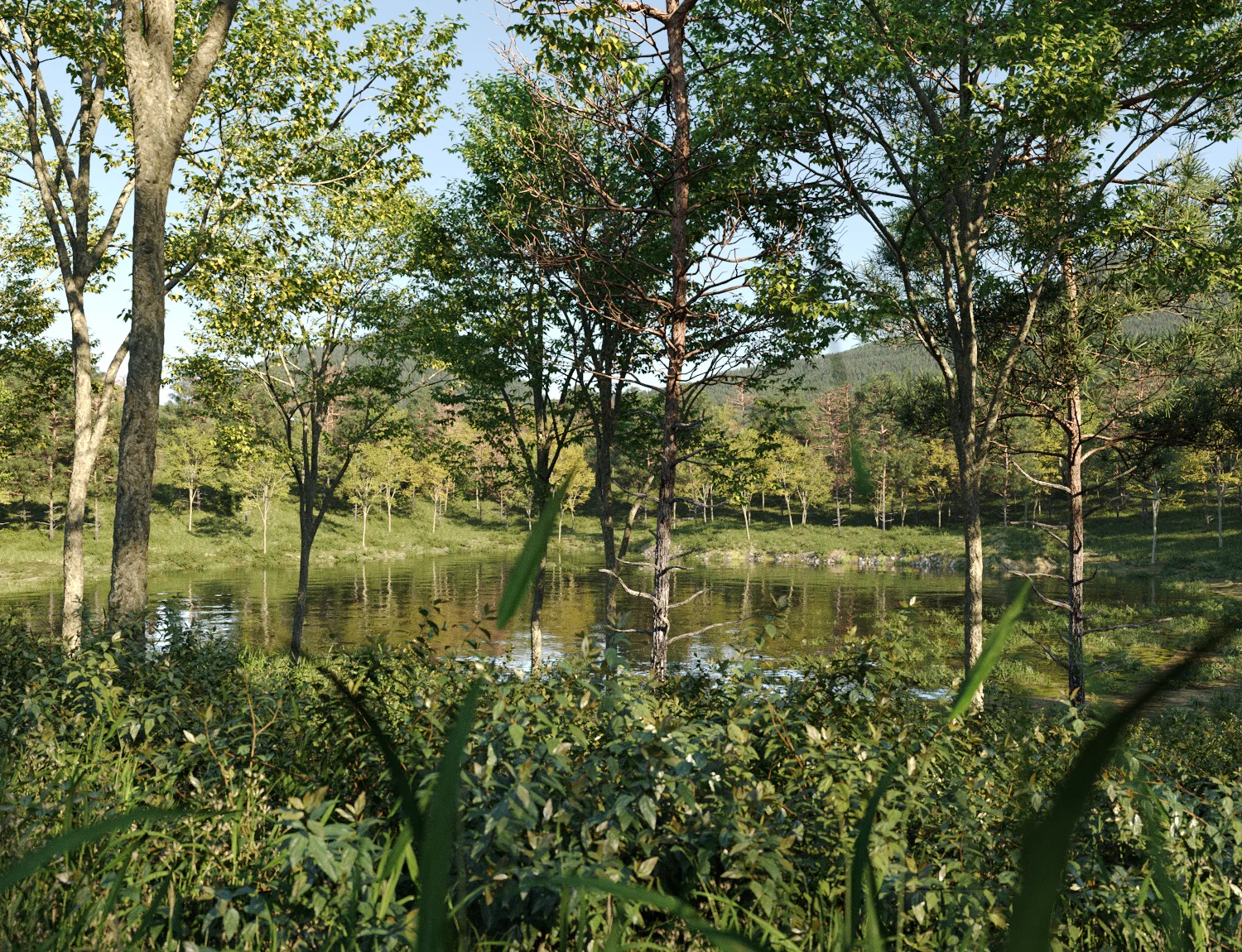 Beaver Lake Pack - Image 7