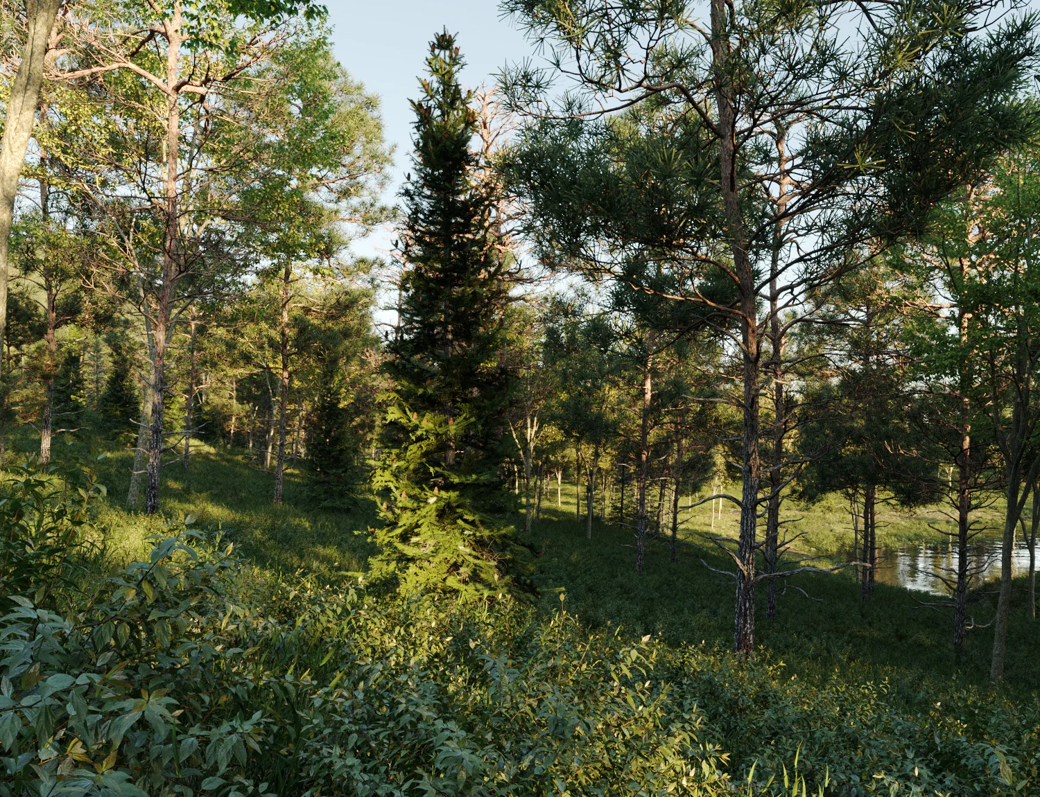 Beaver Lake Pack - Image 9