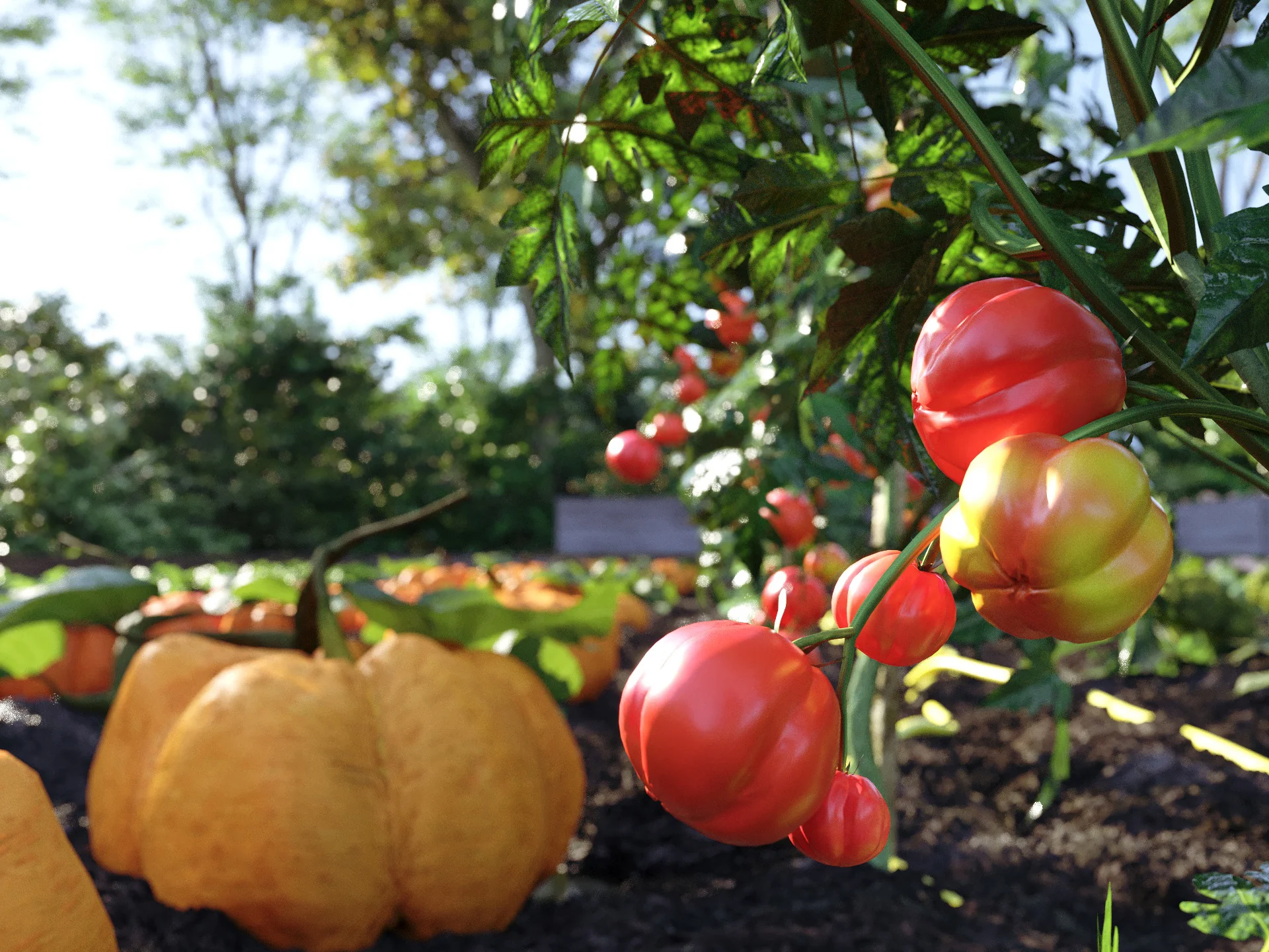 Bio Vegetables Pack - Image 10