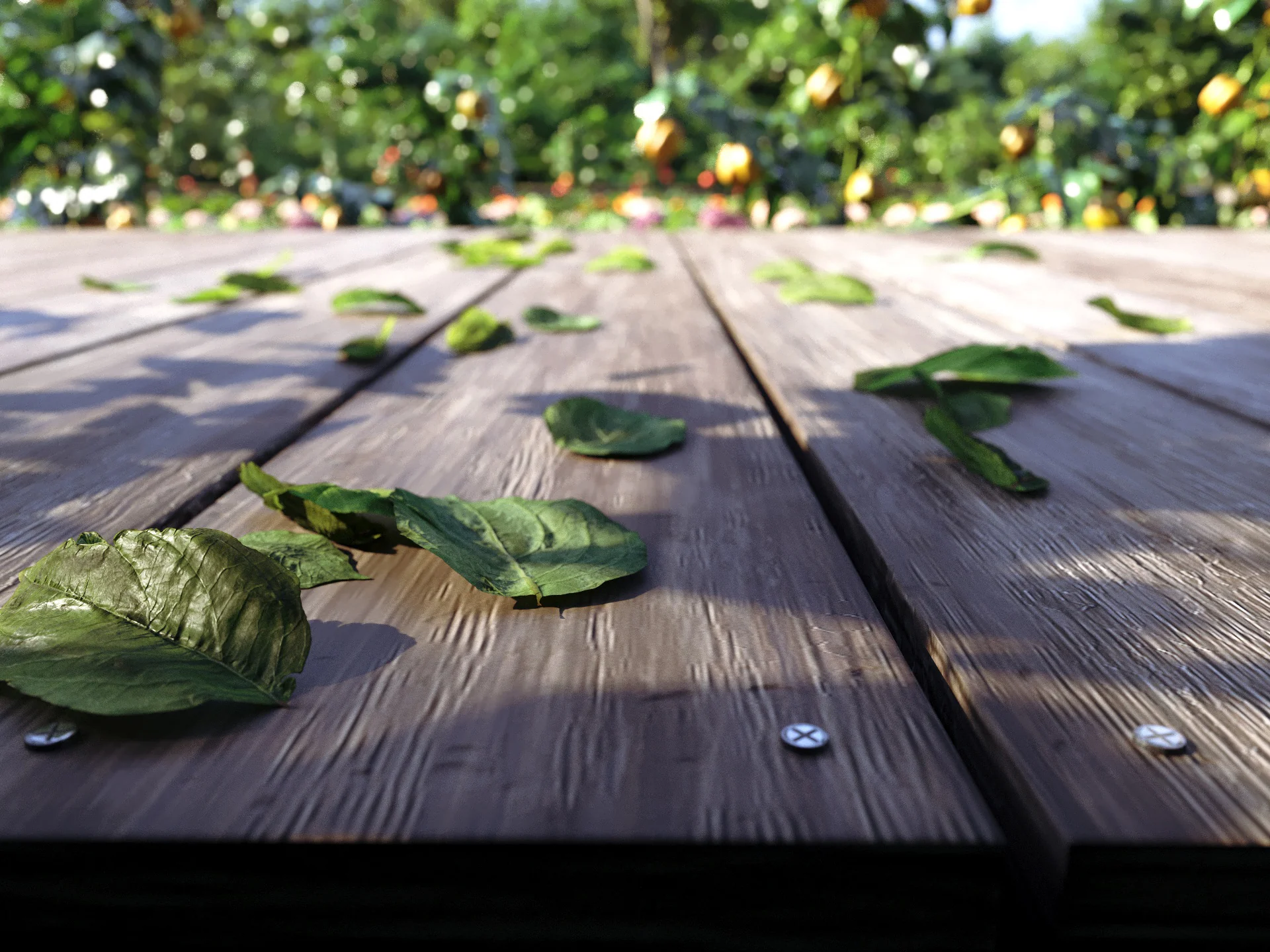 Bio Vegetables Pack - Image 12