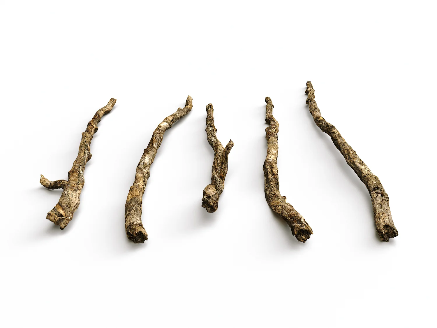Branches Set 02