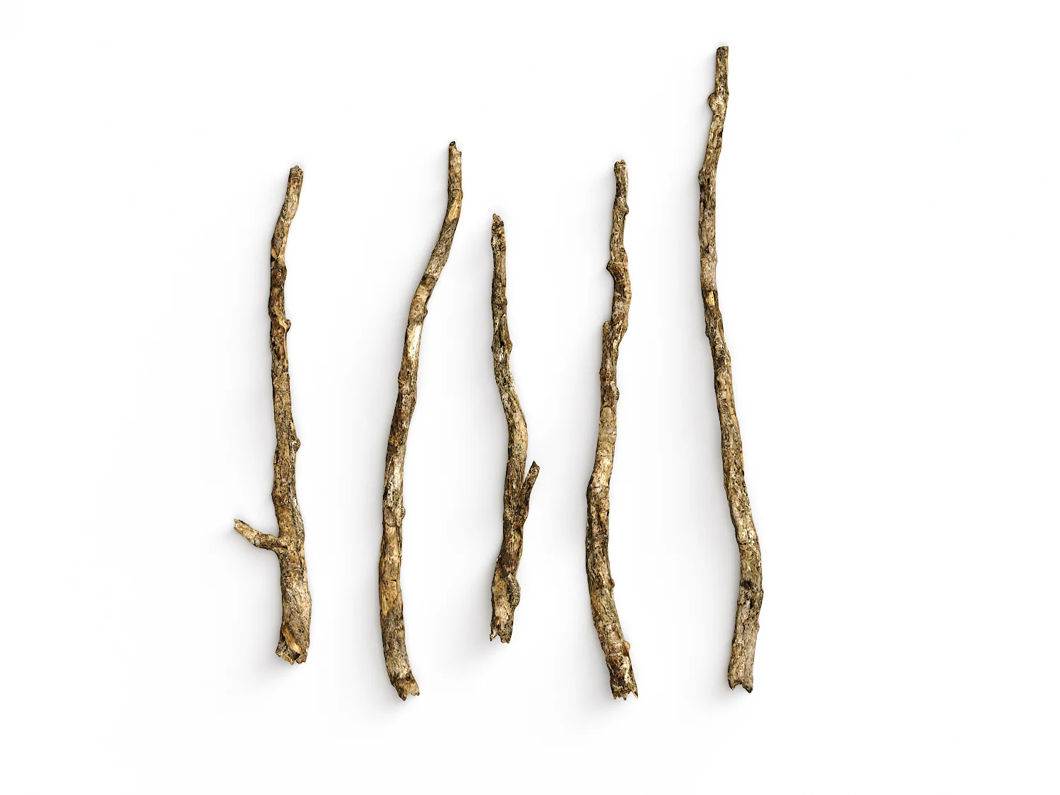 Branches Set 02 - Image 2