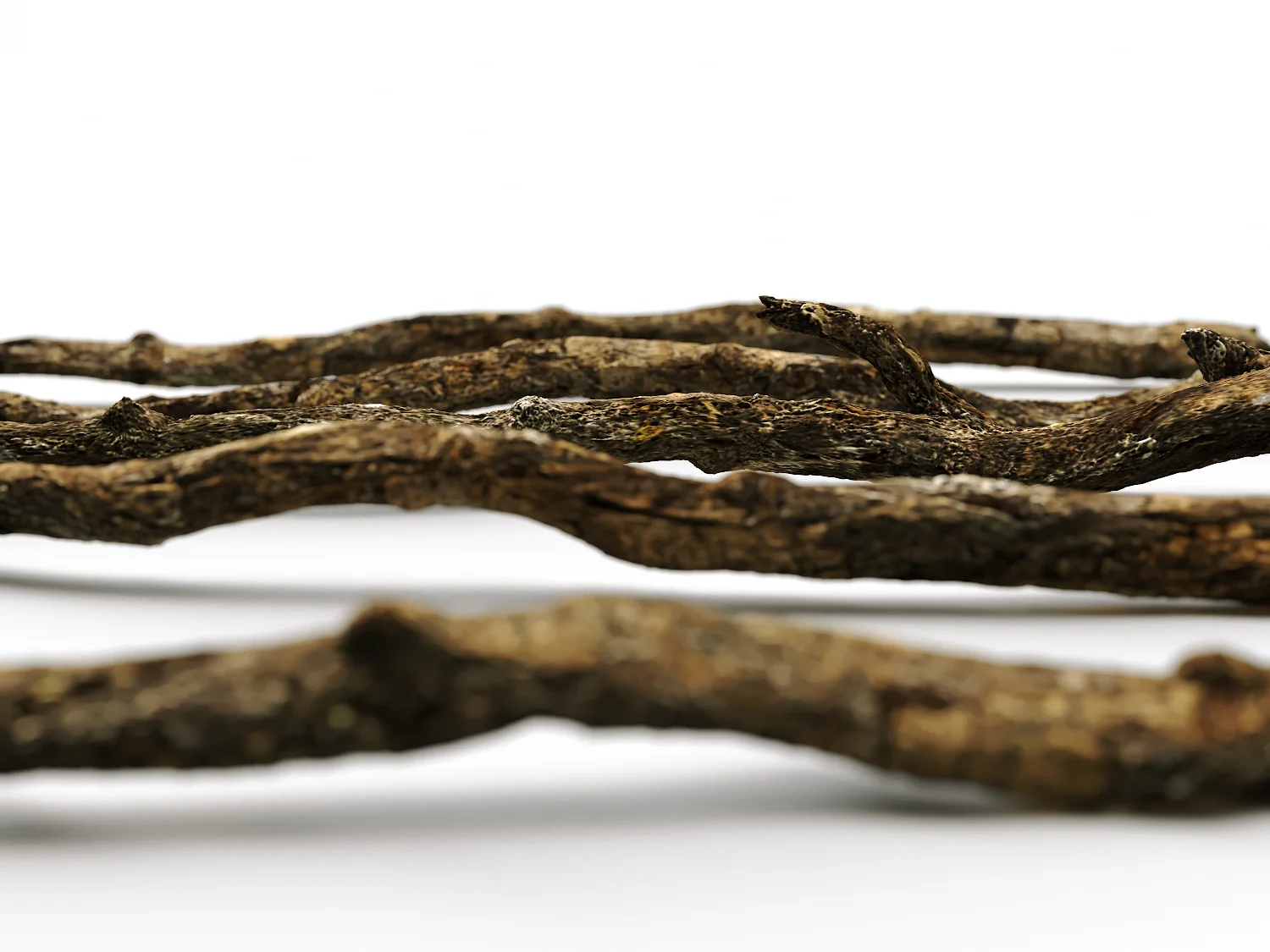 Branches Set 02 - Image 3