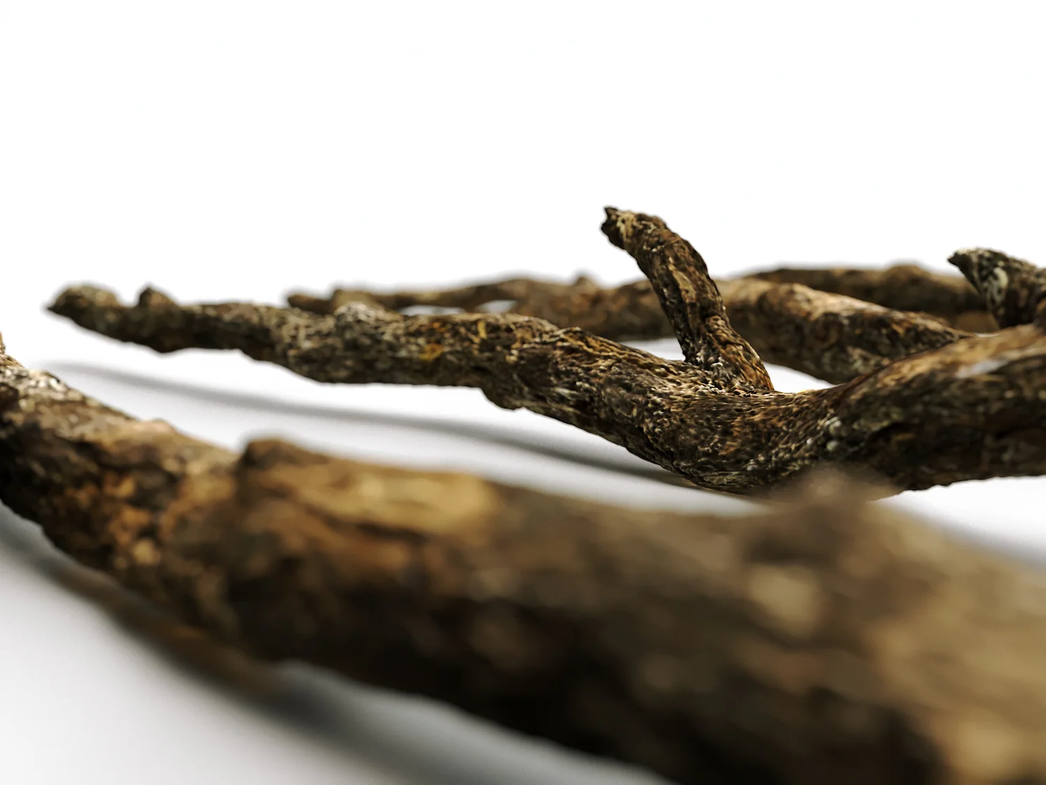 Branches Set 02 - Image 4