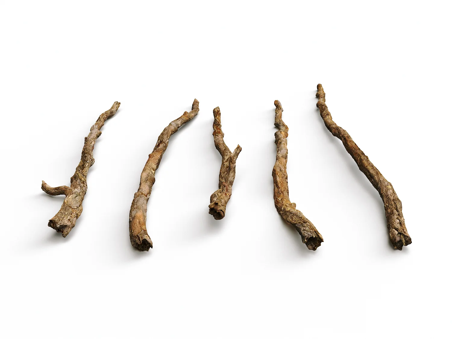 Branches Set 03