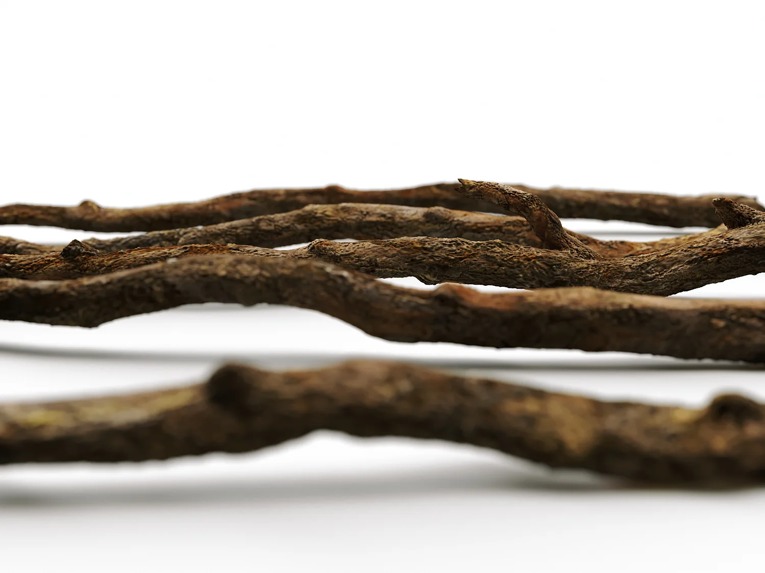 Branches Set 03 - Image 3