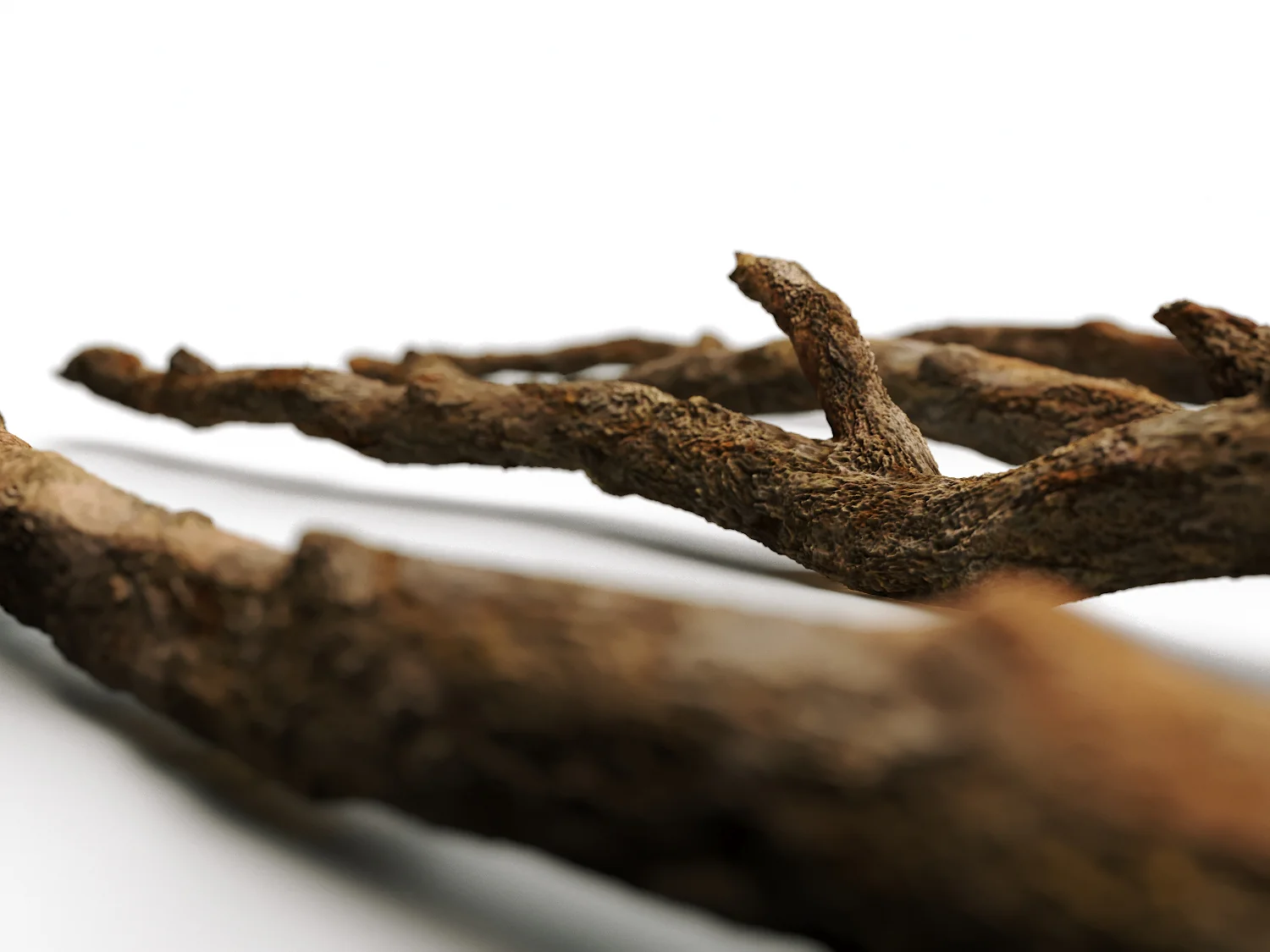 Branches Set 03 - Image 4