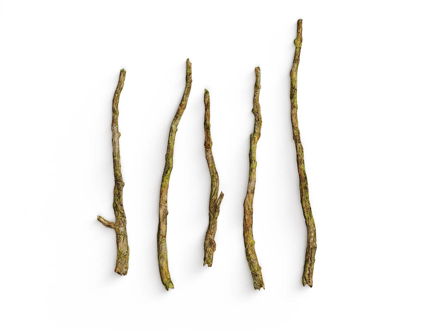 Branches Set 03 - Image 6