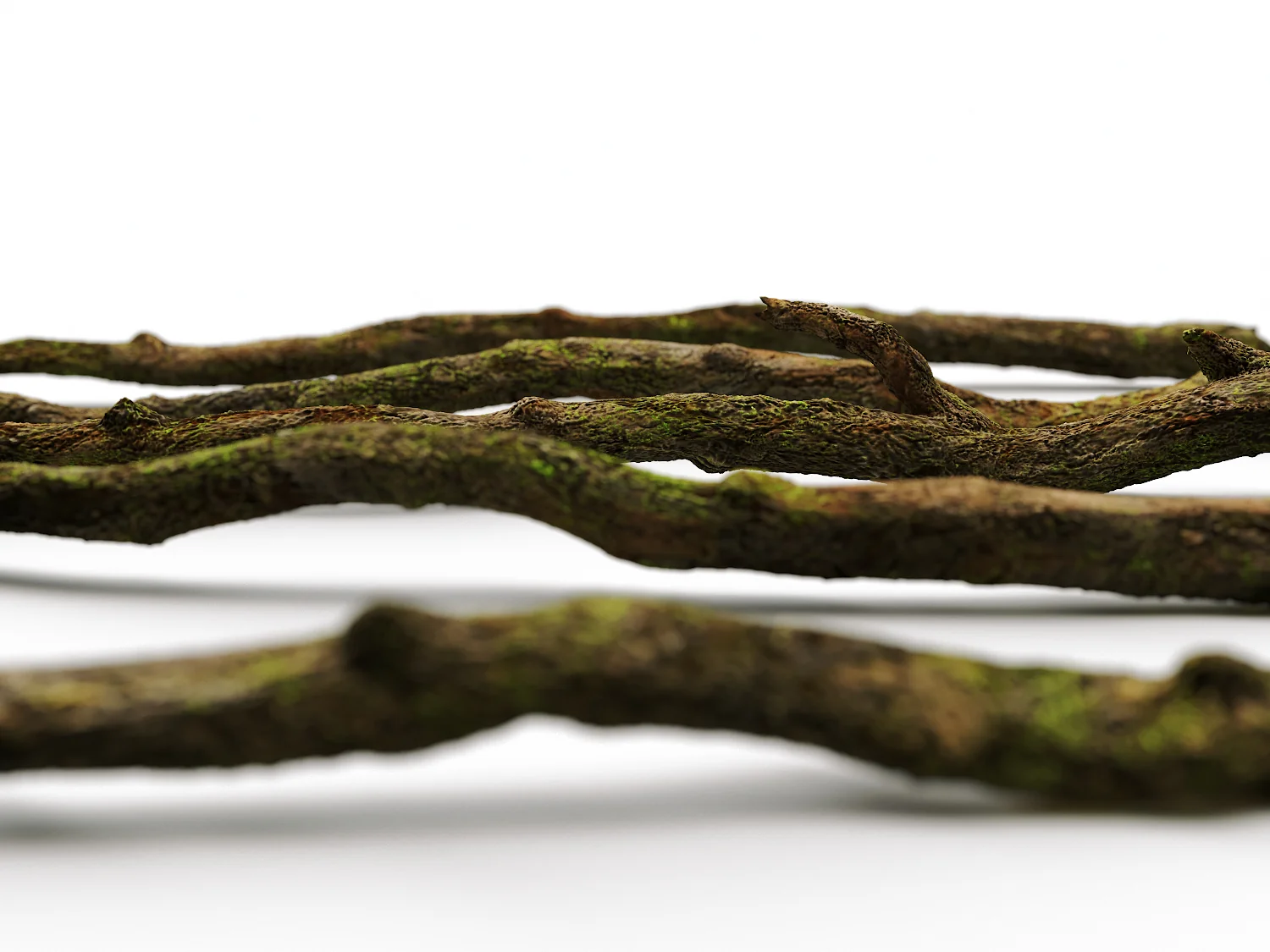 Branches Set 03 - Image 7