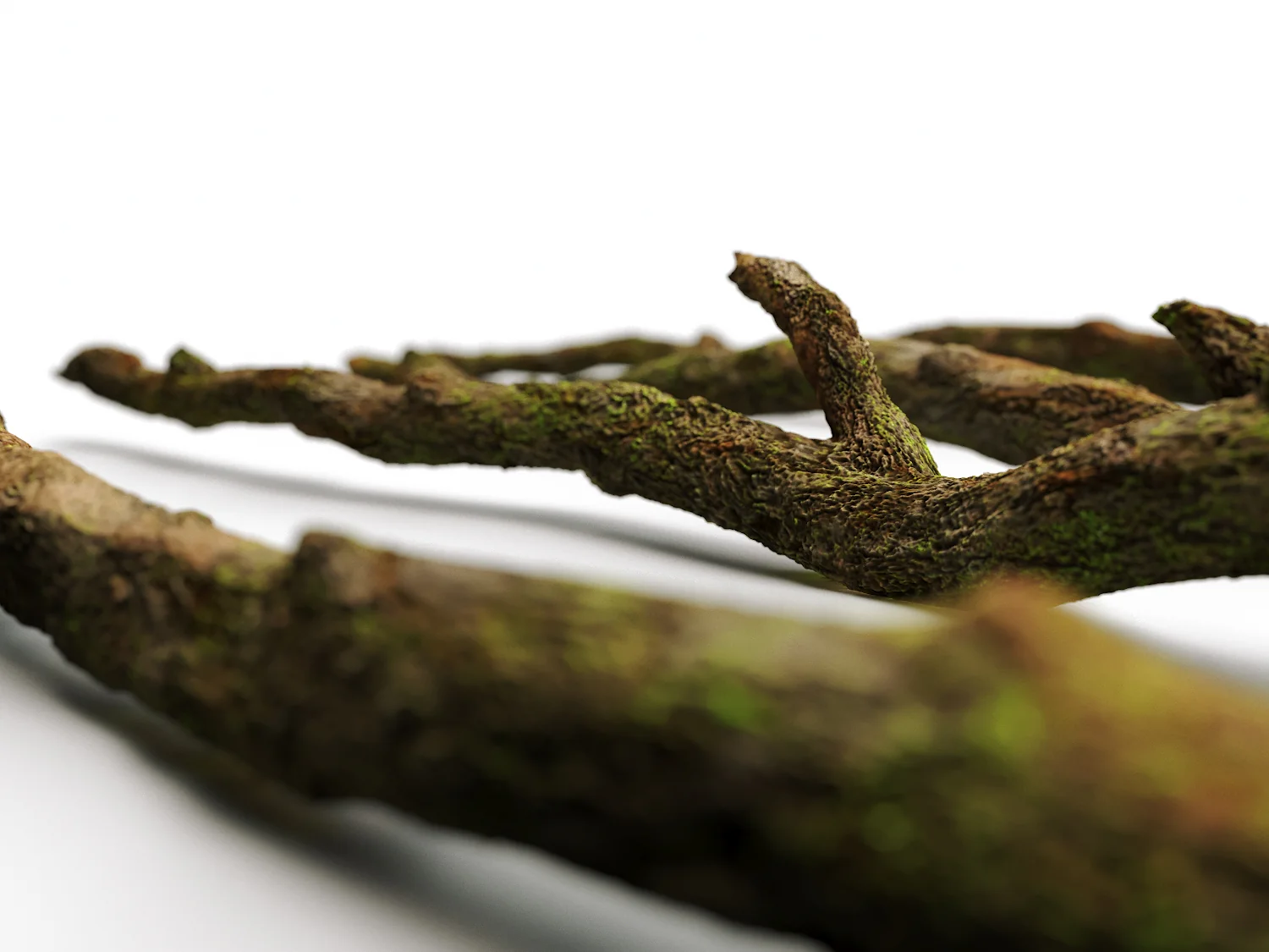 Branches Set 03 - Image 8