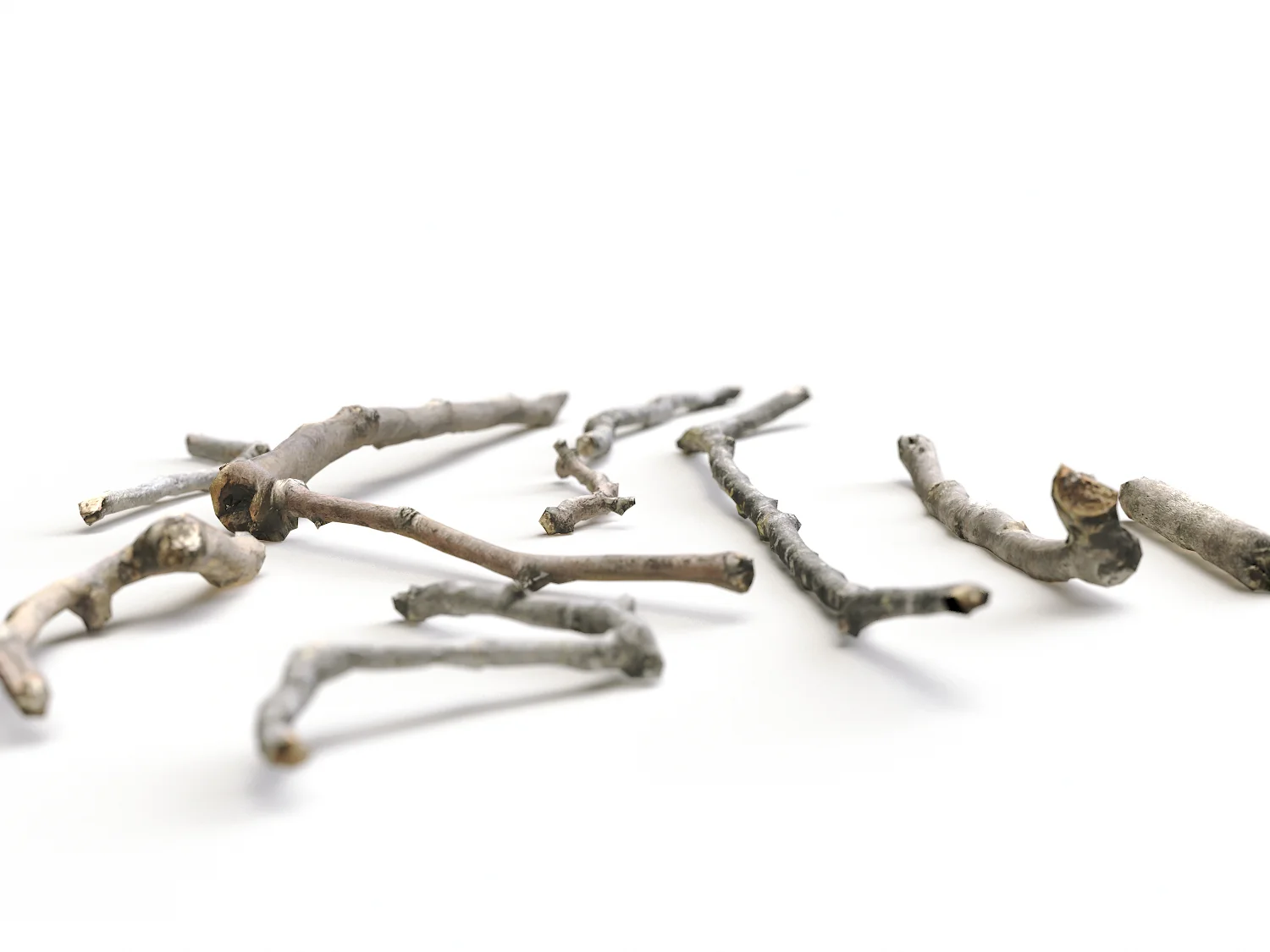 Branches Set 01 - Image 3