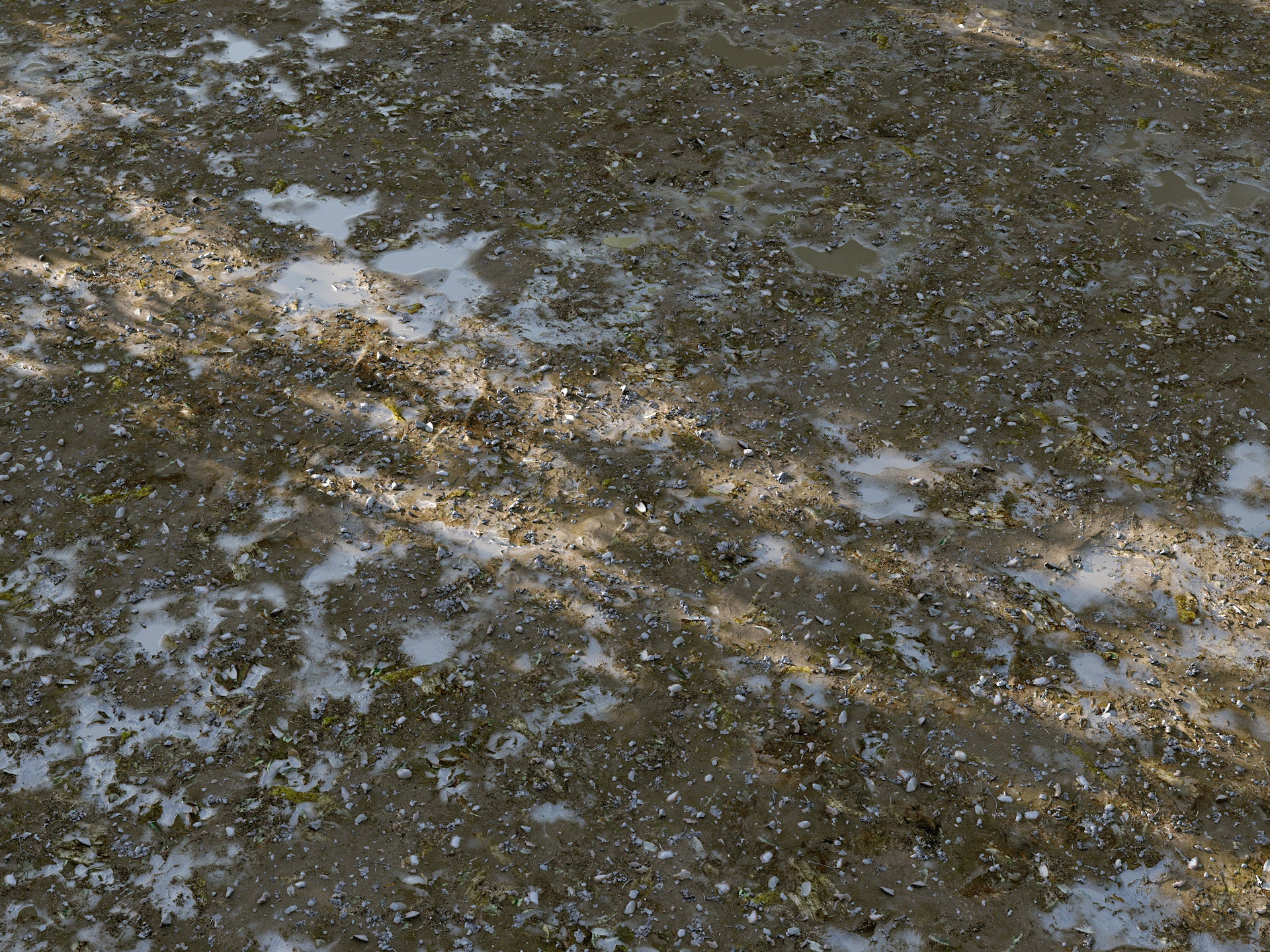 Cajuns Grass Pack - Image 10