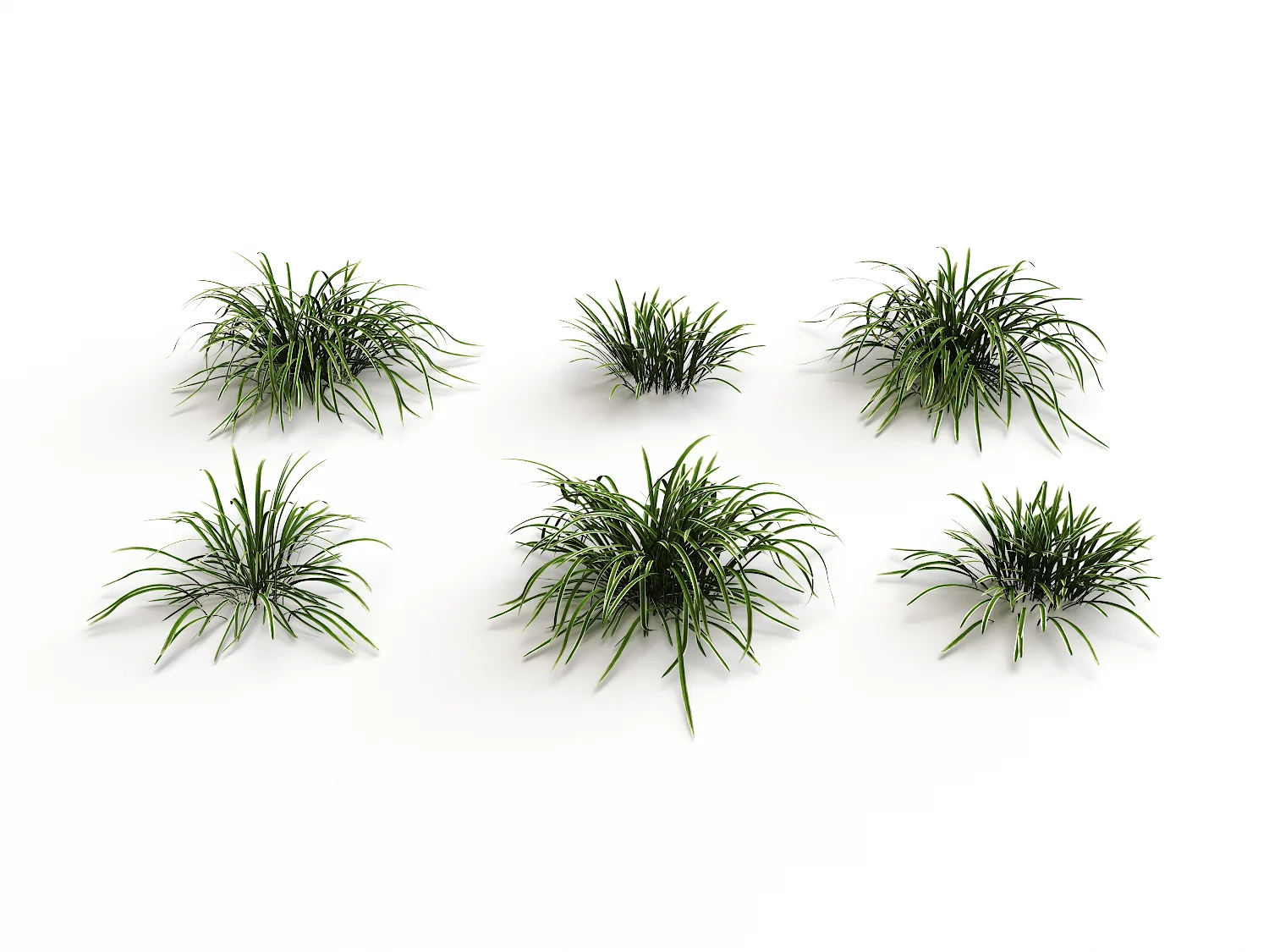 Carex Set