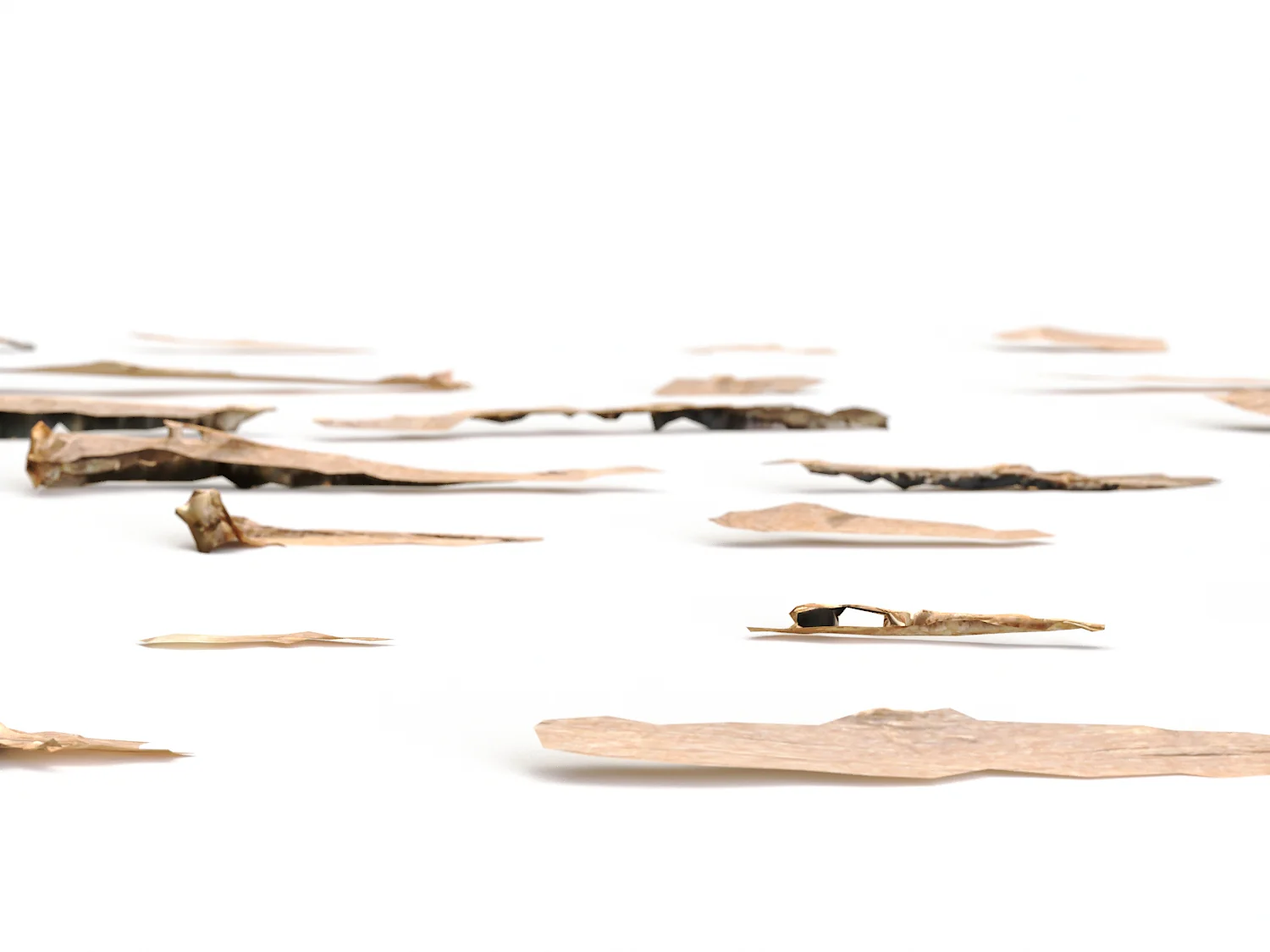 Wood Chunks Set - Image 4