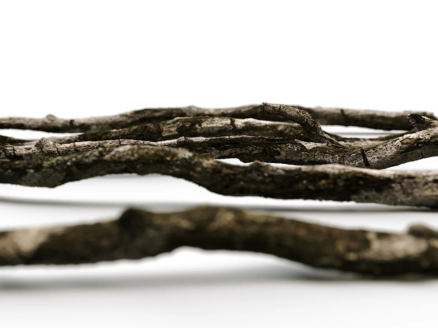 Branches Set 04 - Image 3
