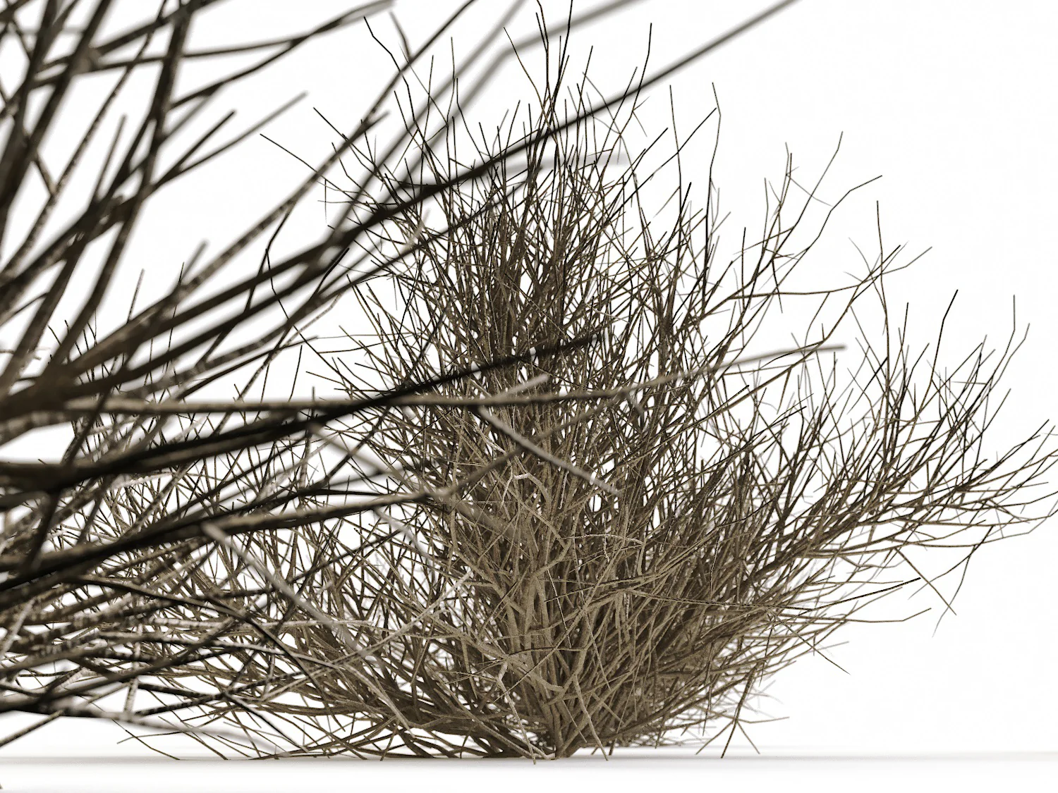 Desert Bush Set - Image 3