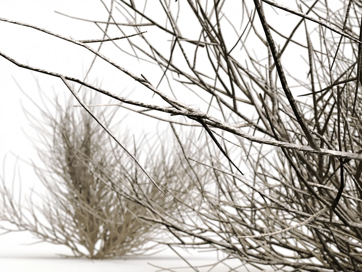 Desert Bush Set - Image 4