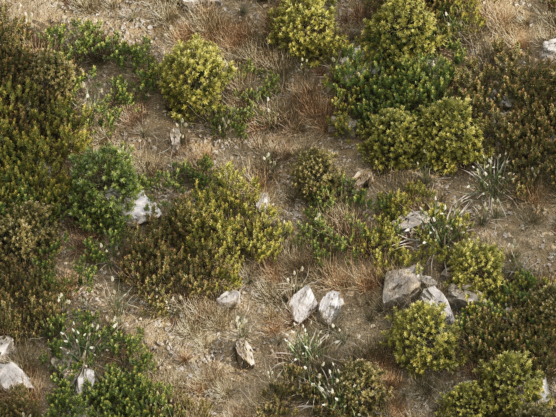GR03 | NM-Lab System™ - Image 8