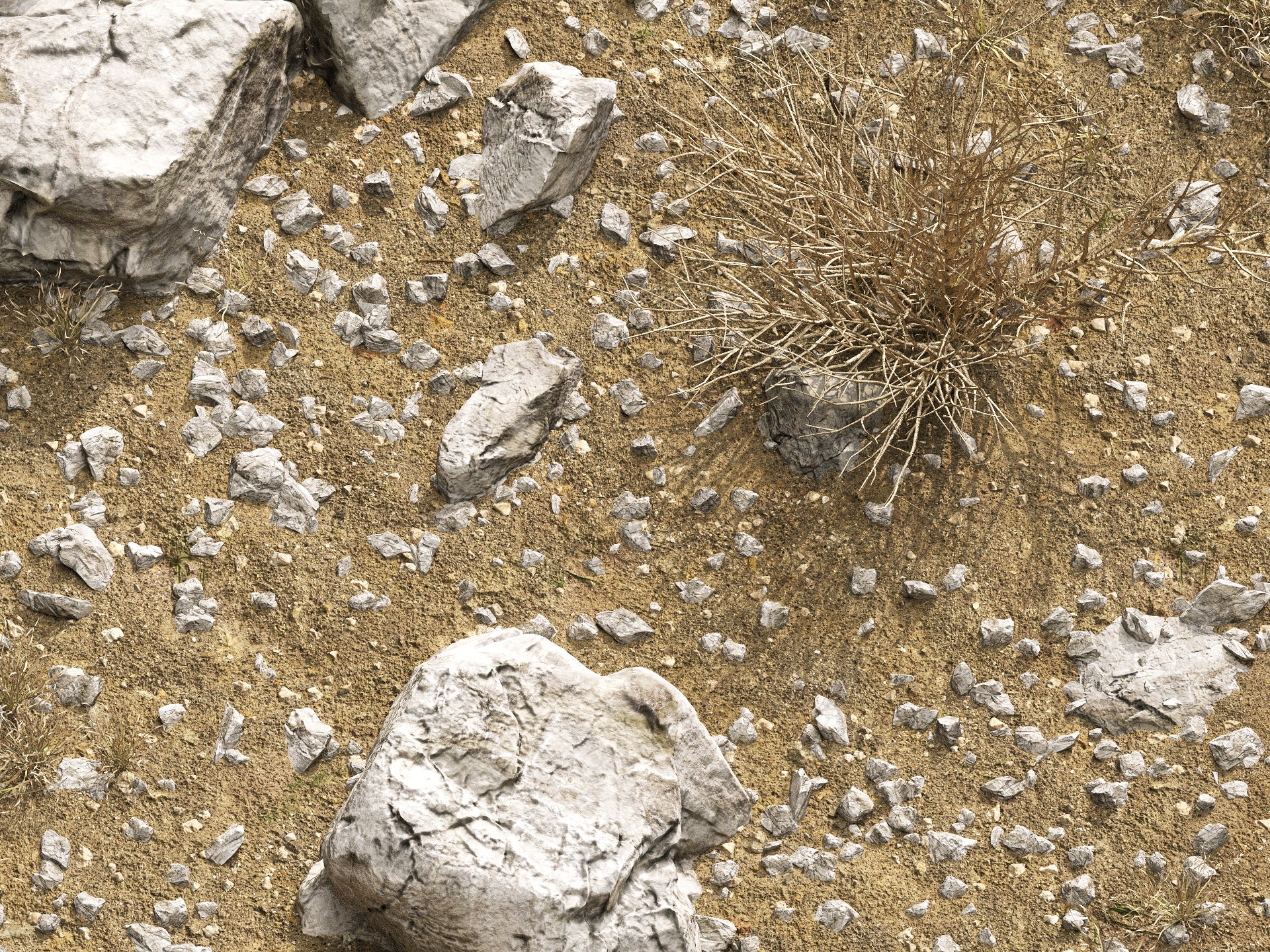 GR05 | NM-Lab System™ - Image 6