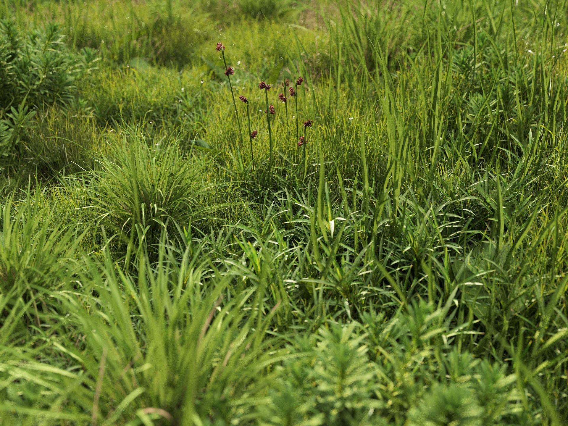GR09 | NM-Lab System™ - Image 5