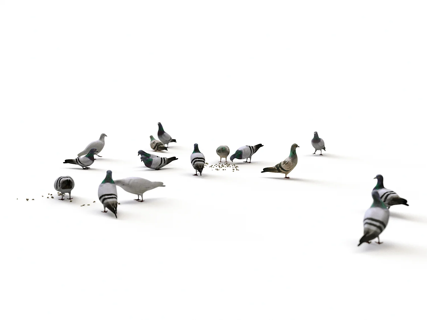 Ground Pigeons Set - Image 3