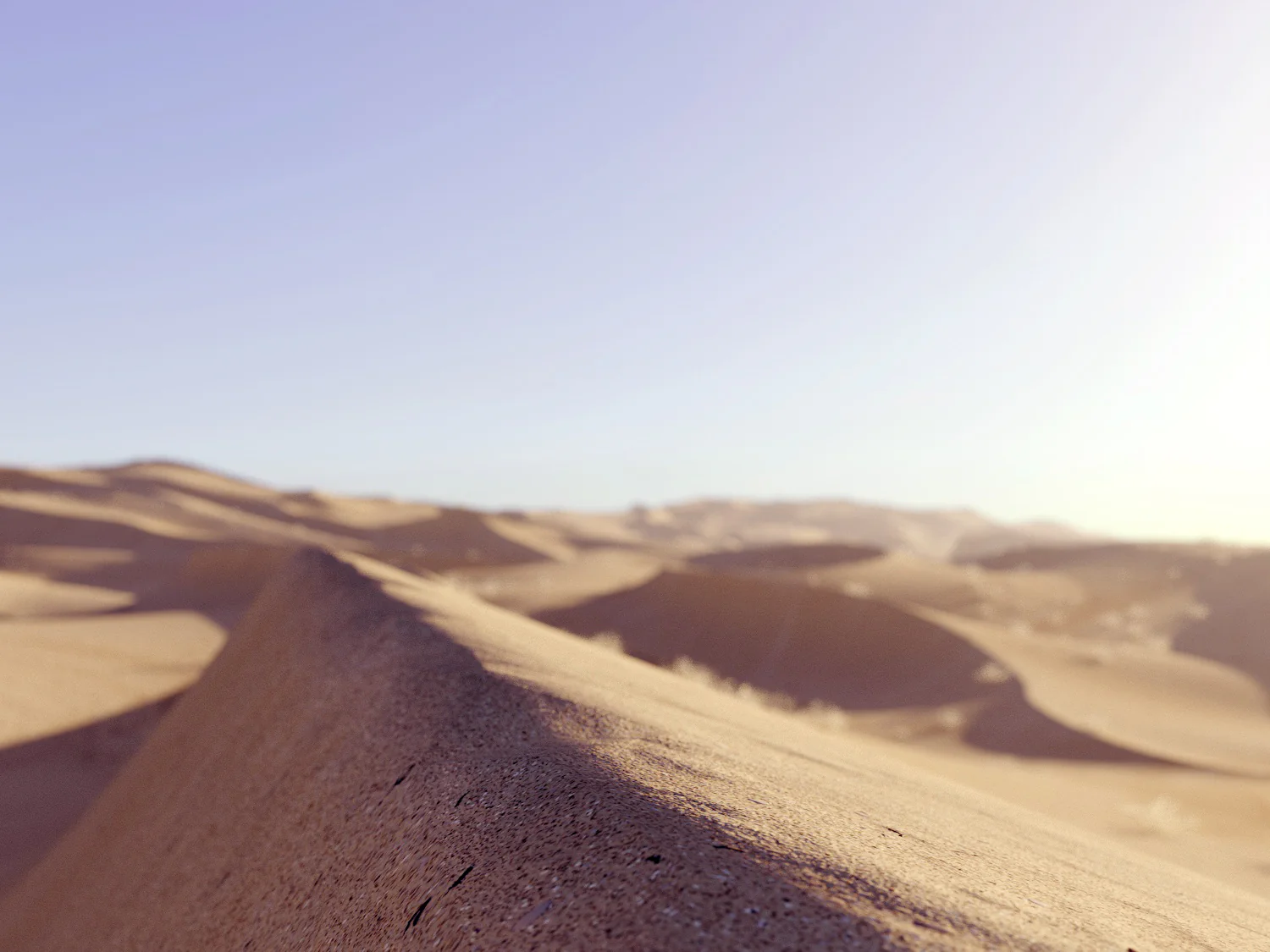 Lawrence Desert Pack - Image 3