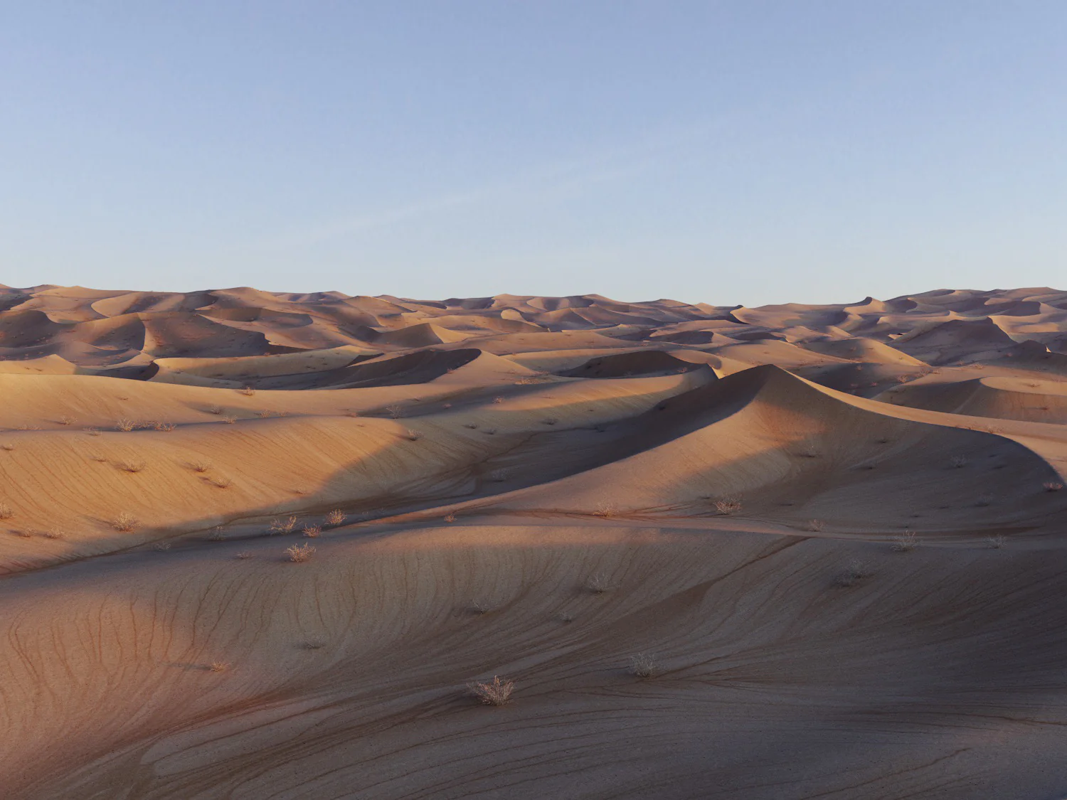 Lawrence Desert Pack - Image 4