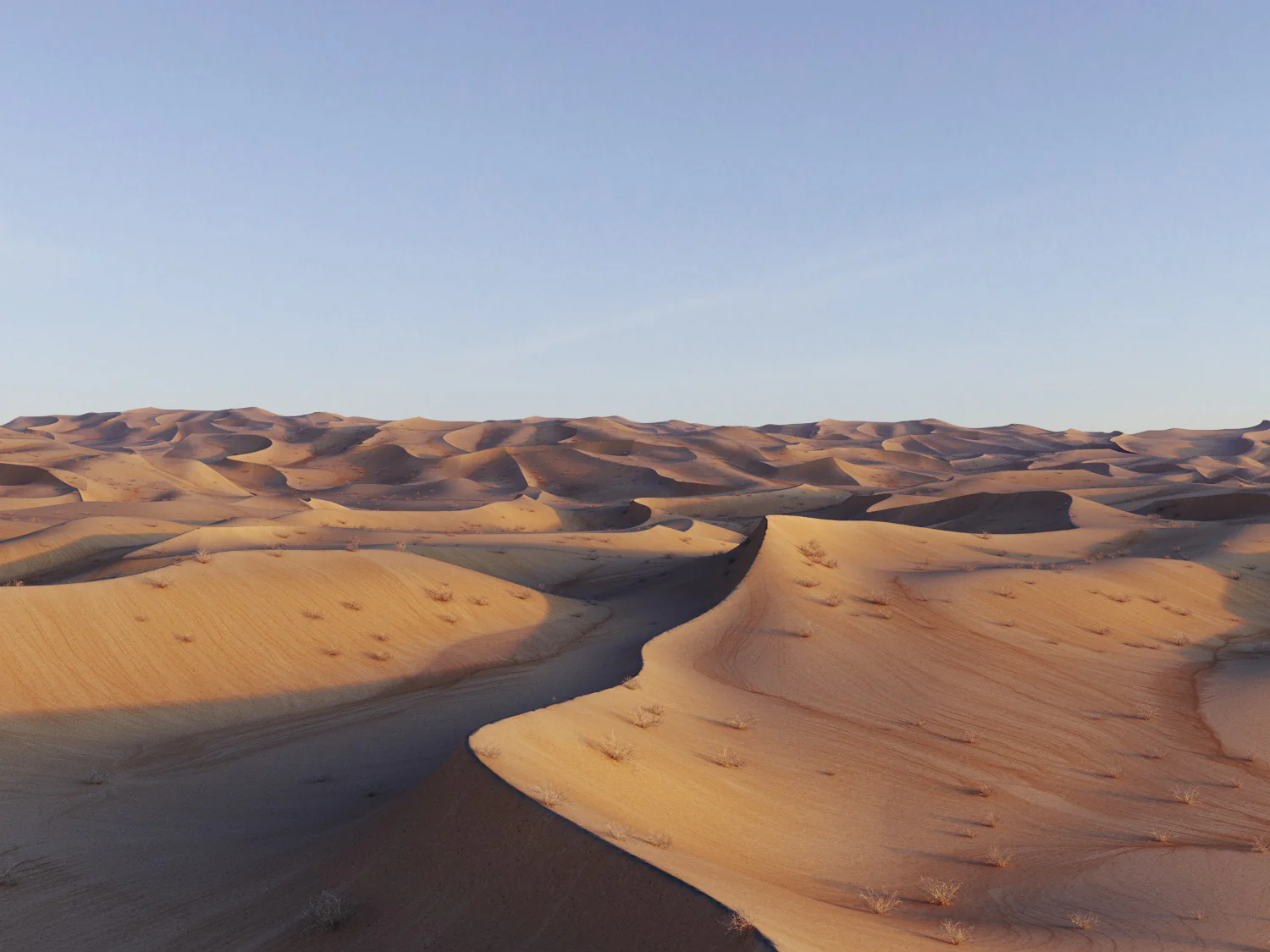 Lawrence Desert Pack - Image 5