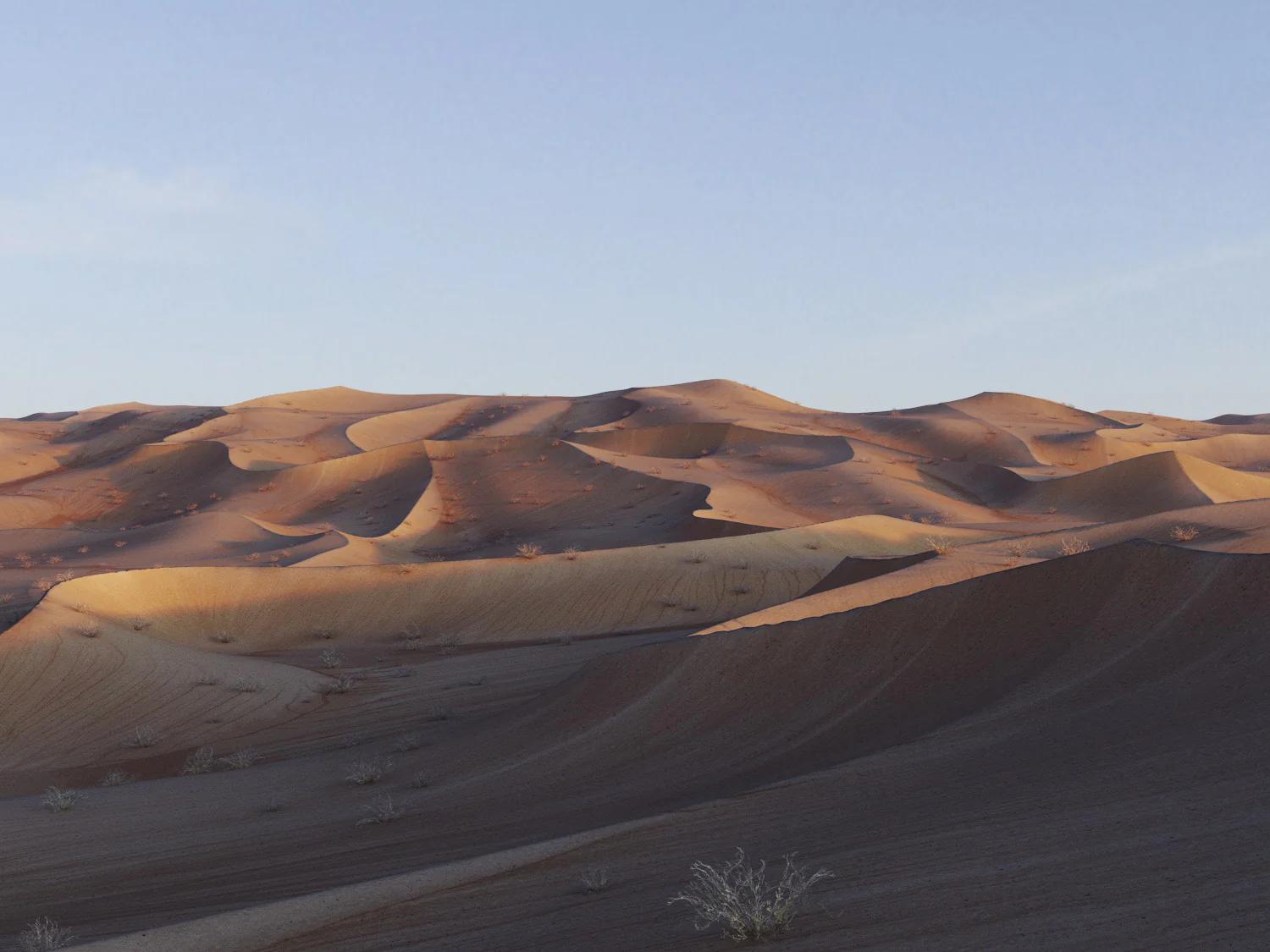 Lawrence Desert Pack - Image 6