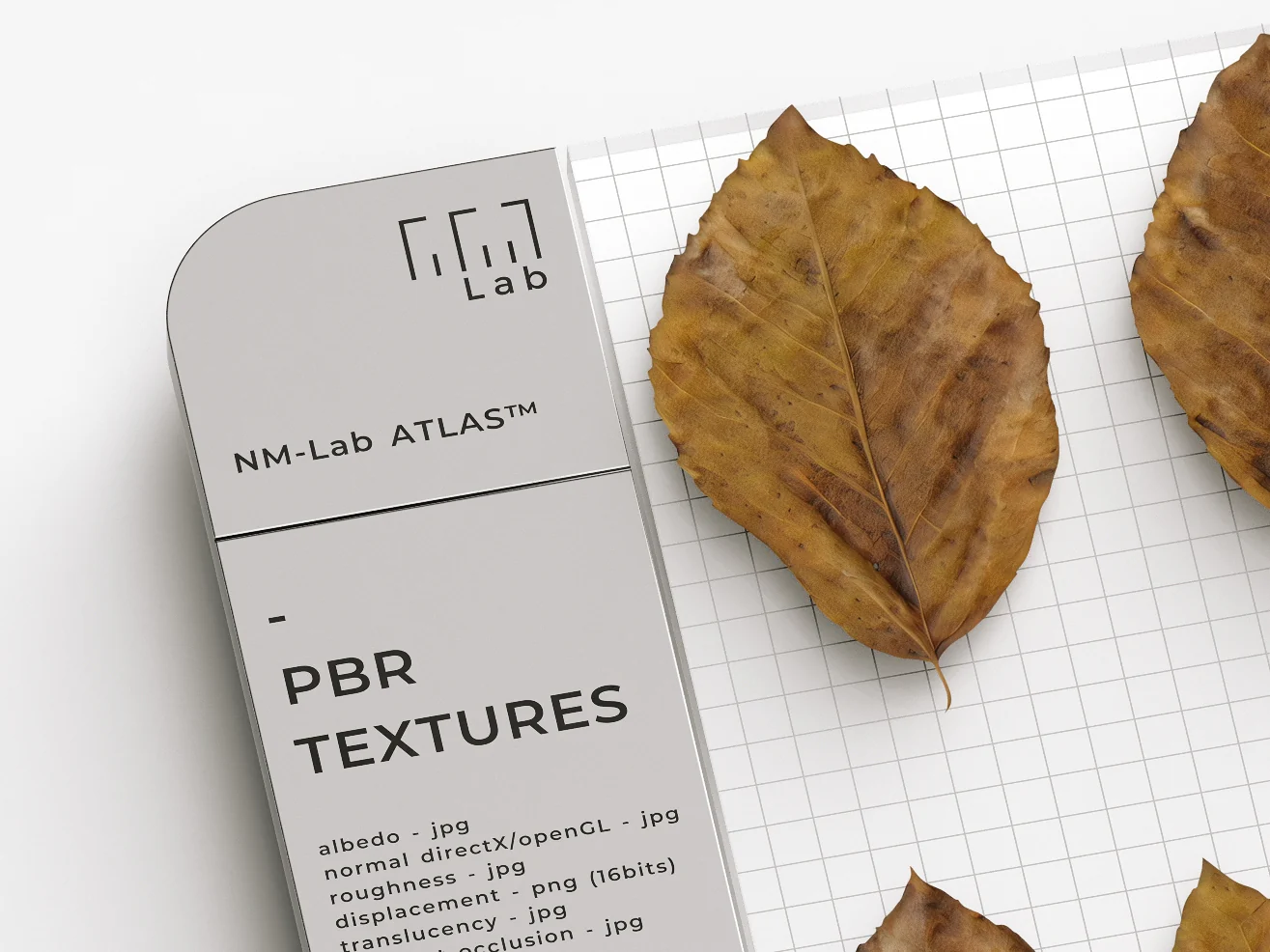 Leaves 170 13A5 - Image 4