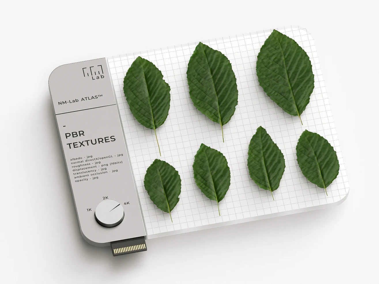 Leaves 881 6A3