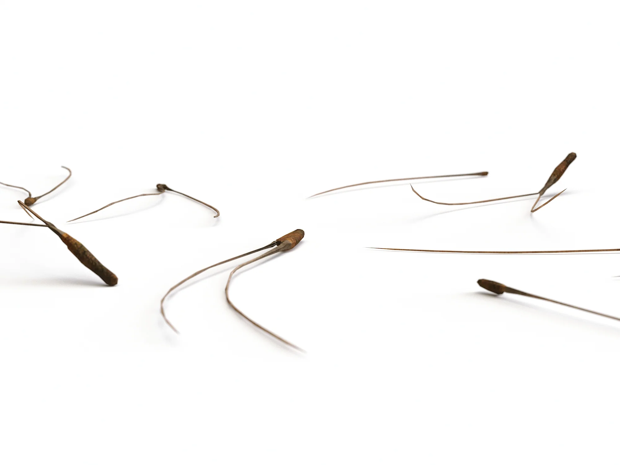 Pine Needles Set - Image 3