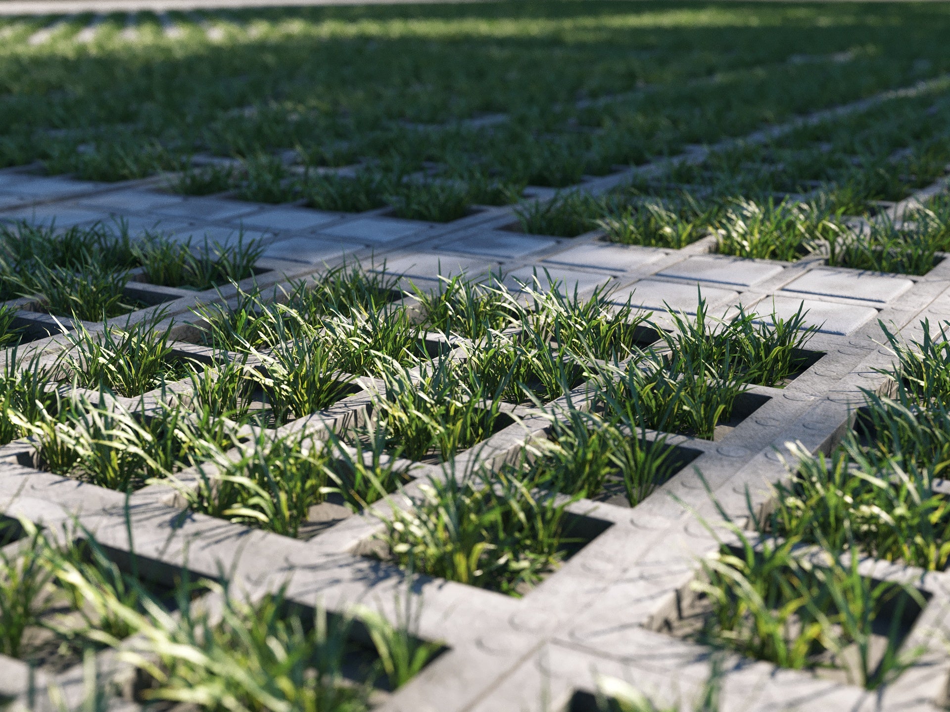 Parking Grass Pack - Image 3