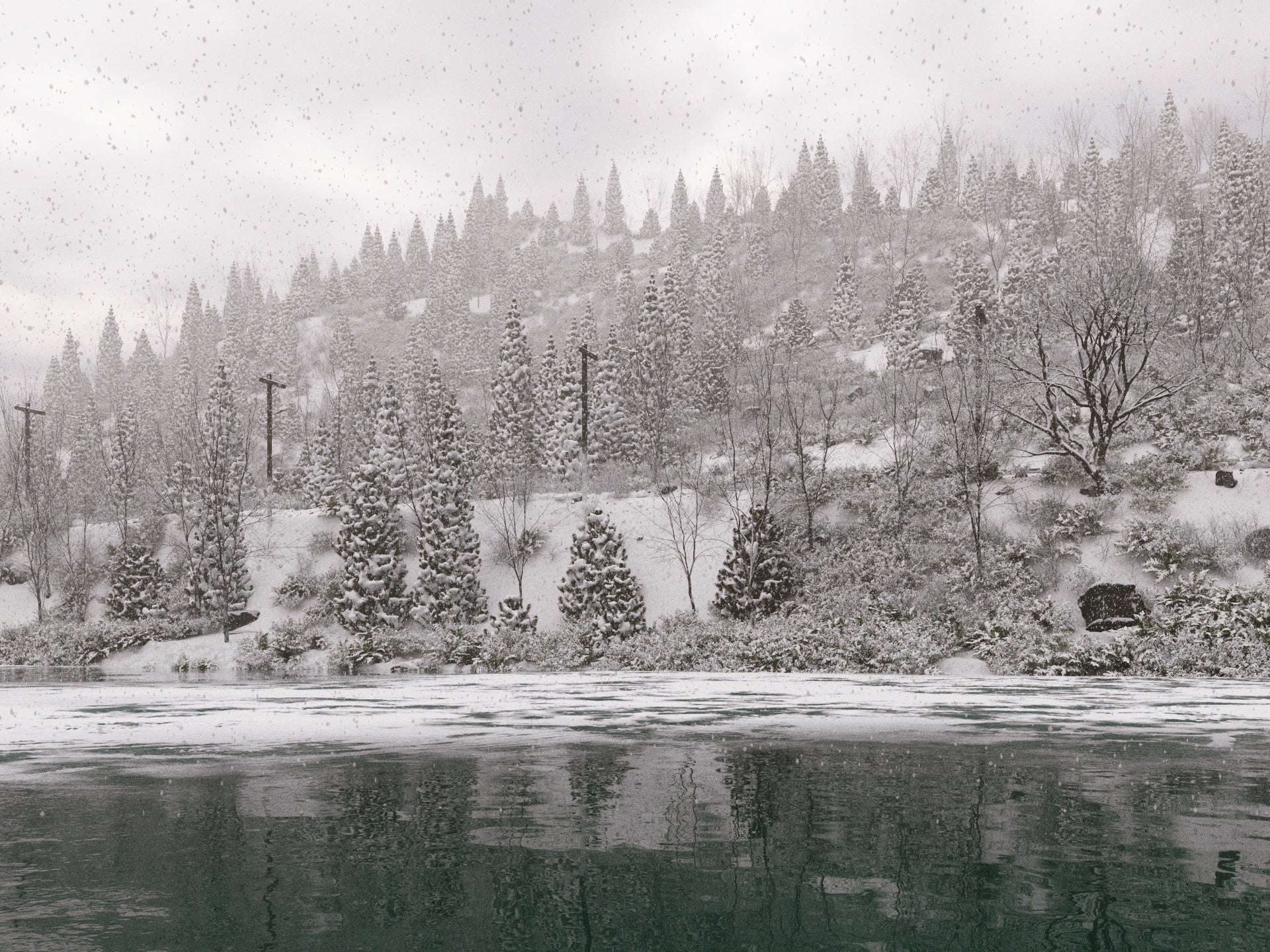 Svaeren Winter Pack - Image 14