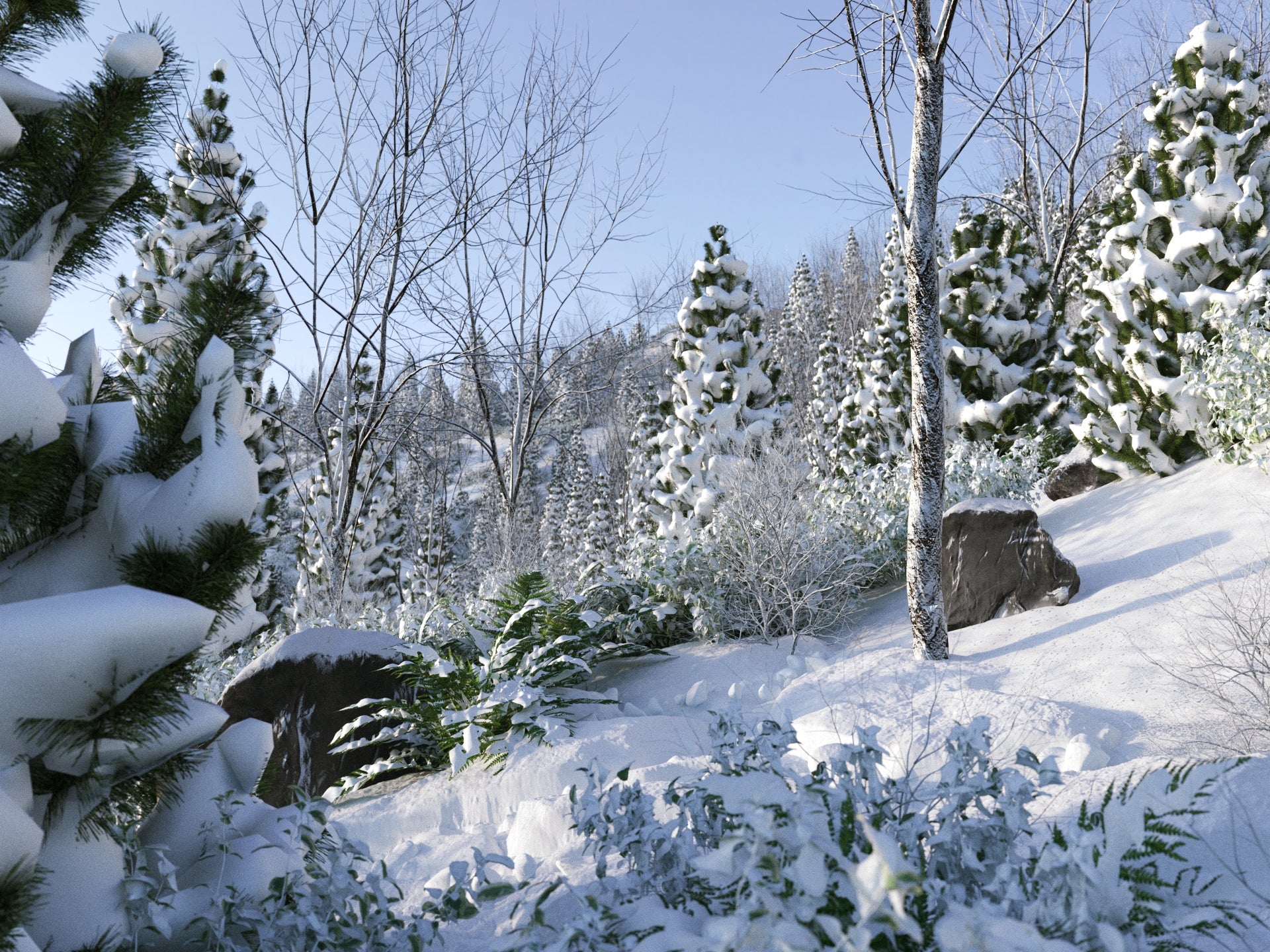 Svaeren Winter Pack - Image 9